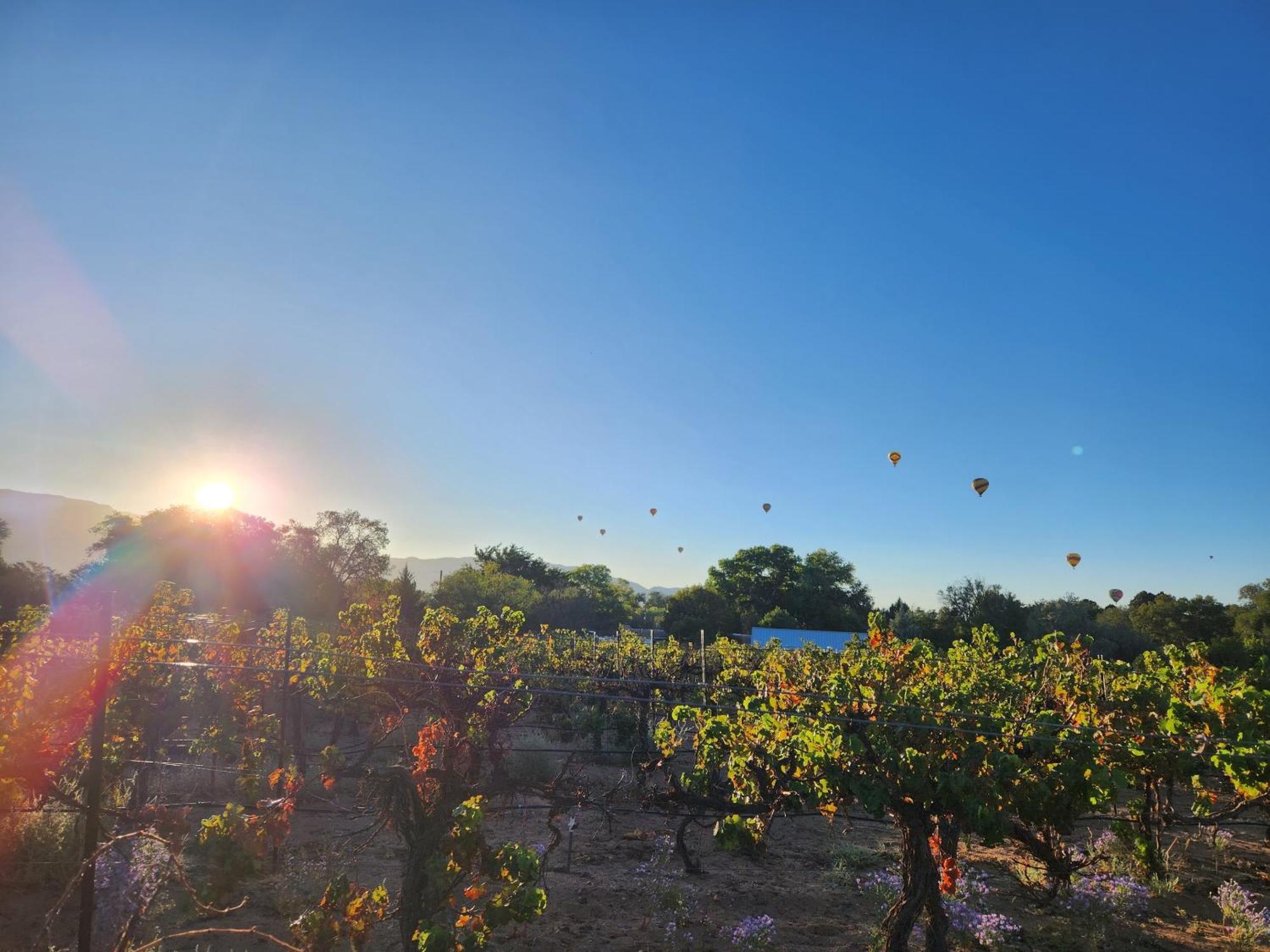 ריו ראנצ'ו Red Mountain Manor Vineyard And Guesthouse מראה חיצוני תמונה